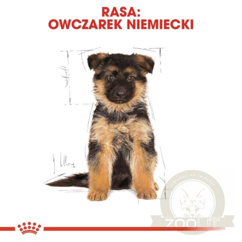 ROYAL CANIN German Shepherd Puppy 12kg ROYAL CANIN German Shepherd Puppy 12kg