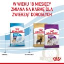ROYAL CANIN Giant Junior 15kg