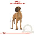 ROYAL CANIN Great Dane Adult 12kg