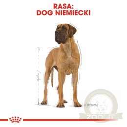 ROYAL CANIN Great Dane Adult 12kg