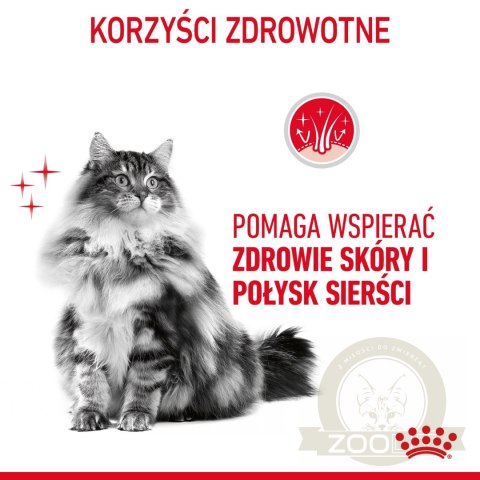 ROYAL CANIN Hair&Skin Care 10kg ROYAL CANIN Hair&Skin Care 10kg