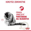 ROYAL CANIN Hairball Care 400g