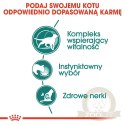 ROYAL CANIN Instinctive +7 12x85g