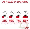 ROYAL CANIN Intense Beauty Gelee 12x85g