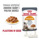 ROYAL CANIN Intense Beauty Gravy 12x85g