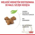 ROYAL CANIN Kitten 2kg