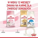 ROYAL CANIN Kitten 2kg