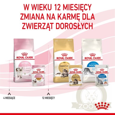 ROYAL CANIN Kitten Instinctive W Galaretce 12x85g ROYAL CANIN Kitten Instinctive W Galaretce 12x85g