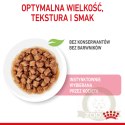 ROYAL CANIN Kitten Instinctive W Sosie 12x85g