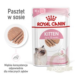 ROYAL CANIN Kitten Pasztet 12x85g