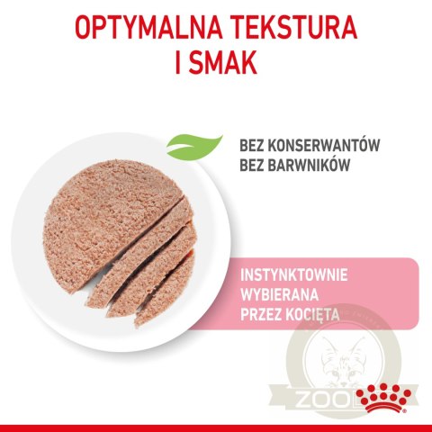 ROYAL CANIN Kitten Pasztet 12x85g ROYAL CANIN Kitten Pasztet 12x85g
