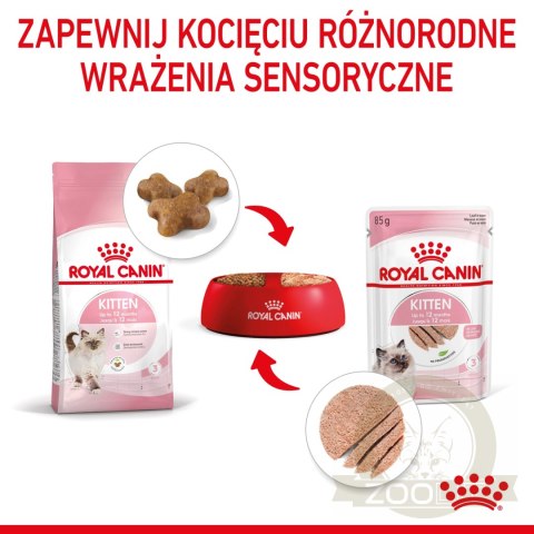ROYAL CANIN Kitten Pasztet 12x85g ROYAL CANIN Kitten Pasztet 12x85g