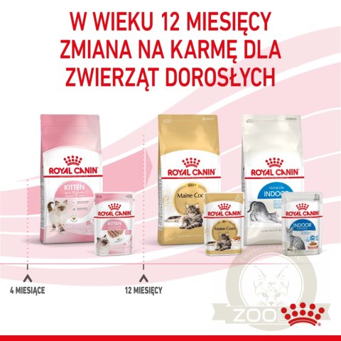 ROYAL CANIN Kitten Pasztet 12x85g ROYAL CANIN Kitten Pasztet 12x85g