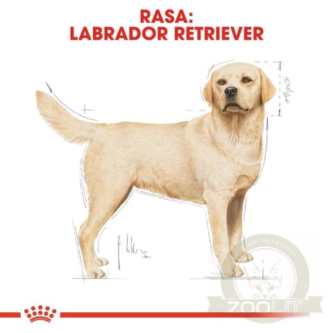 ROYAL CANIN Labrador Retriever Adult 12kg ROYAL CANIN Labrador Retriever Adult 12kg
