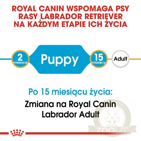 ROYAL CANIN Labrador Retriever Puppy 12kg ROYAL CANIN Labrador Retriever Puppy 12kg