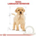 ROYAL CANIN Labrador Retriever Puppy 12kg