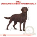 ROYAL CANIN Labrador Retriever Sterilised 12kg