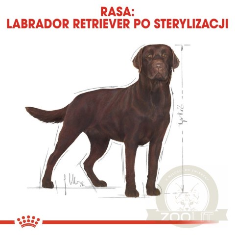 ROYAL CANIN Labrador Retriever Sterilised 12kg ROYAL CANIN Labrador Retriever Sterilised 12kg