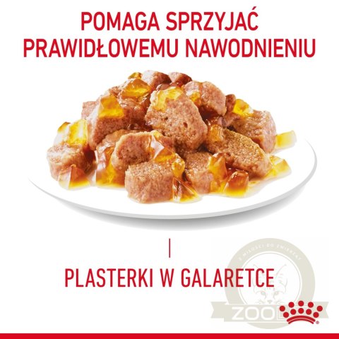 ROYAL CANIN Light Weight Care W Galaretce 12x85g ROYAL CANIN Light Weight Care W Galaretce 12x85g