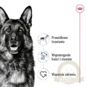 ROYAL CANIN Maxi Adult 4kg