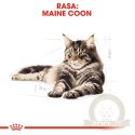 ROYAL CANIN Maine Coon Adult 12x85g