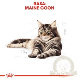 ROYAL CANIN Maine Coon Adult 12x85g