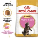 ROYAL CANIN Maine Coon Kitten 400g