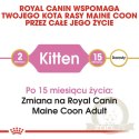 ROYAL CANIN Maine Coon Kitten 400g