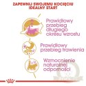 ROYAL CANIN Maine Coon Kitten 400g