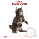 ROYAL CANIN Maine Coon Kitten 400g