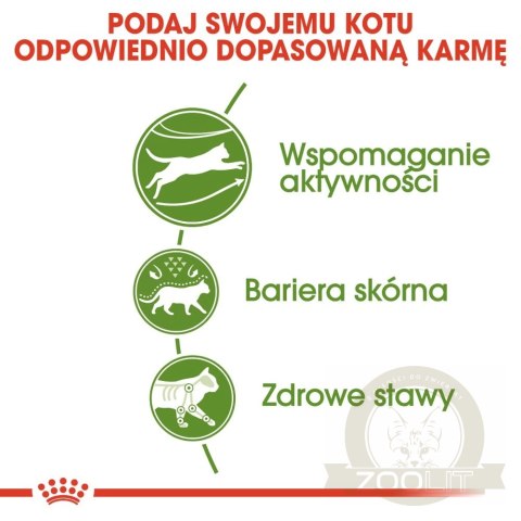 ROYAL CANIN Outdoor 400g ROYAL CANIN Outdoor 400g