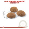 ROYAL CANIN Outdoor 400g