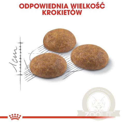ROYAL CANIN Outdoor 400g ROYAL CANIN Outdoor 400g