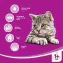 WHISKAS Karma Sucha Dla Kota Po Sterylizacji 1+ Sterile Z Kurczakiem 14kg