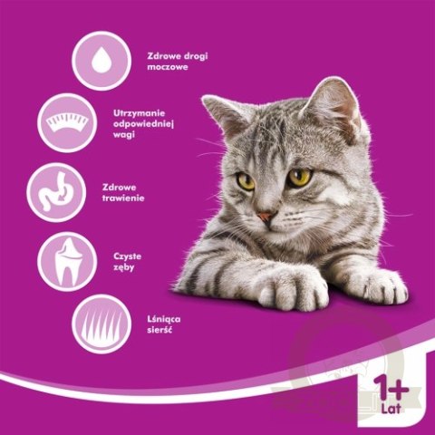 WHISKAS Karma Sucha Dla Kota Po Sterylizacji 1+ Sterile Z Kurczakiem 14kg WHISKAS Karma Sucha Dla Kota Po Sterylizacji 1+ Sterile Z Kurczakiem 14kg