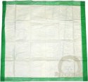 8in1 Mata Absorbująca Training Pads Large Bag 30szt