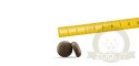 Josera Festival 900g