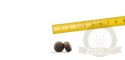 Josera Light & Vital 900g