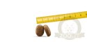 Josera Optiness 900g