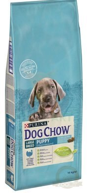 Purina Dog Chow Large Breed Puppy Z Indykiem 14kg