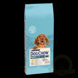 Purina Dog Chow Puppy Z Kurczakiem 14kg