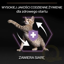 Purina Pro Plan Original Kitten Kurczak Z Ryżem 10kg