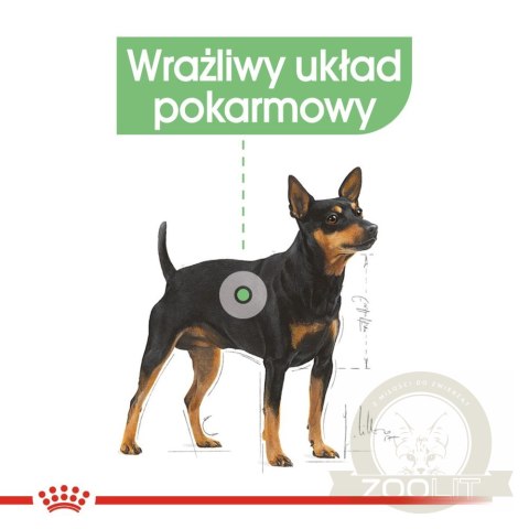 ROYAL CANIN CCN Digestive Care Pasztet 12x85g ROYAL CANIN CCN Digestive Care Pasztet 12x85g