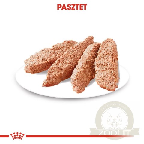 ROYAL CANIN CCN Digestive Care Pasztet 12x85g ROYAL CANIN CCN Digestive Care Pasztet 12x85g