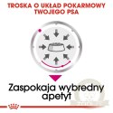 ROYAL CANIN CCN Exigent Pasztet 12x85g