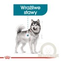 ROYAL CANIN CCN Maxi Joint Care 10kg