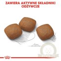 ROYAL CANIN CCN Maxi Joint Care 10kg