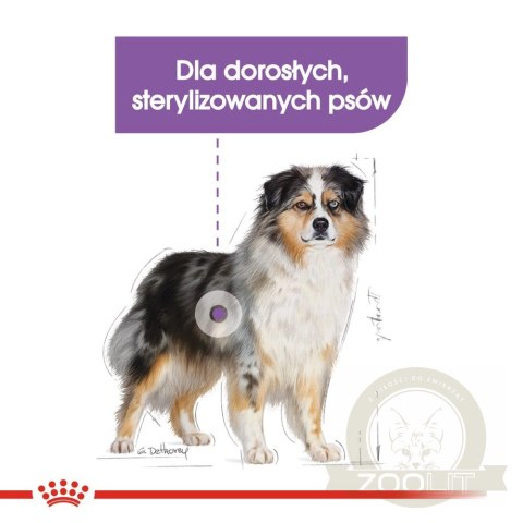 ROYAL CANIN CCN Medium Sterilised 3kg ROYAL CANIN CCN Medium Sterilised 3kg