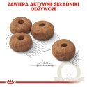 ROYAL CANIN CCN Medium Sterilised 3kg