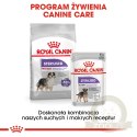 ROYAL CANIN CCN Medium Sterilised 3kg